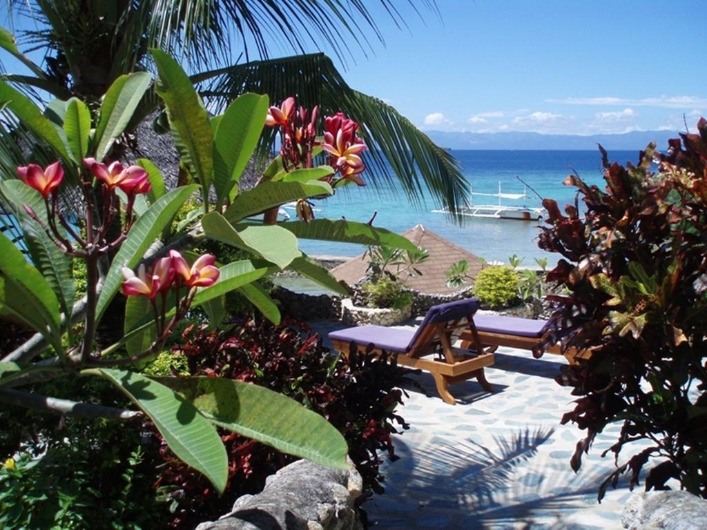 Magic Island Dive Resort Moalboal Kültér fotó