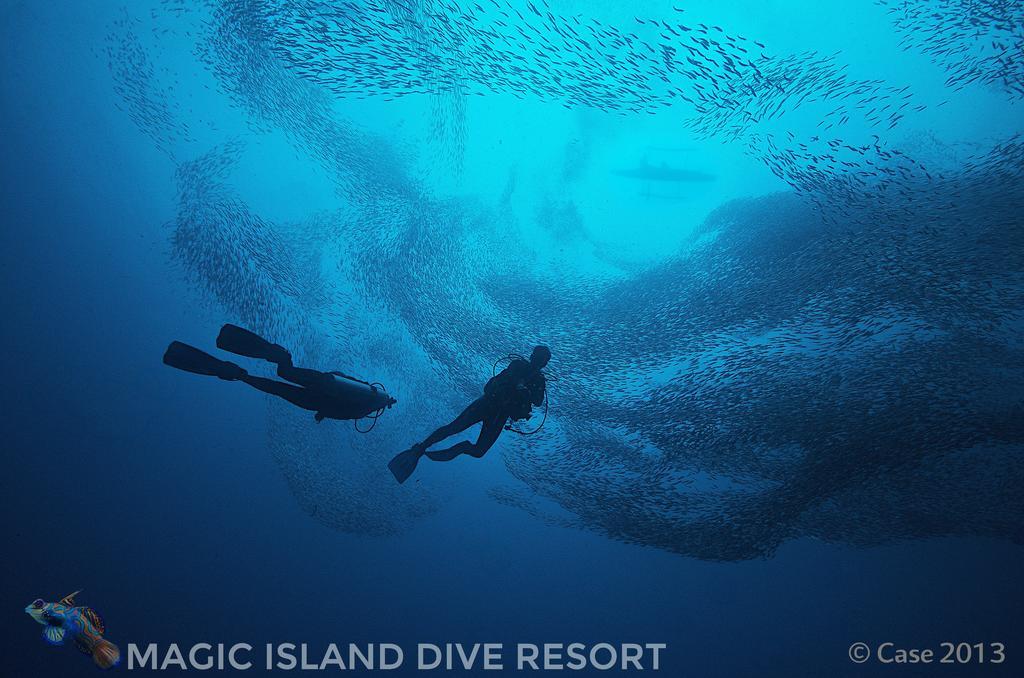 Magic Island Dive Resort Moalboal Kültér fotó